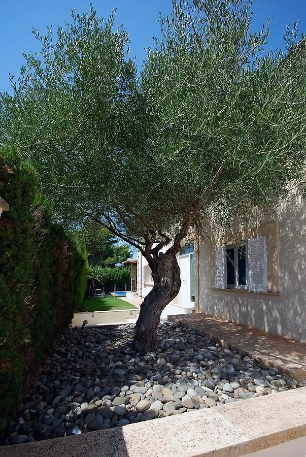 Villa Camamila House Alcúdia Spagna